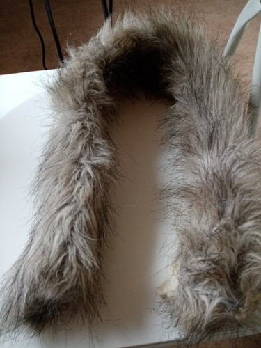 Raccoon pelzkragen natur - raccoon,