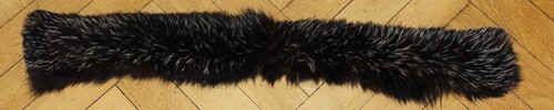 Waschbär raccoon pelzkragen - waschbär,