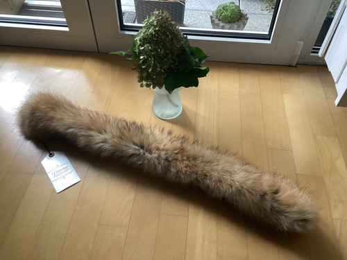 Pelzkragen finnraccoon - pelzkragen,